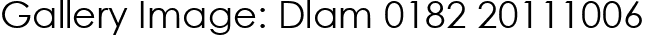 Gallery Image: Dlam 0182 20111006