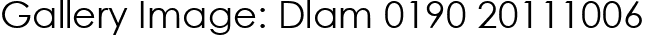Gallery Image: Dlam 0190 20111006