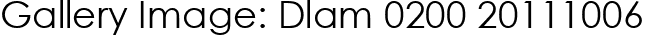 Gallery Image: Dlam 0200 20111006
