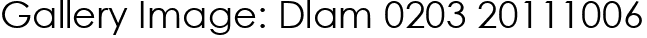 Gallery Image: Dlam 0203 20111006