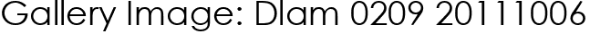 Gallery Image: Dlam 0209 20111006
