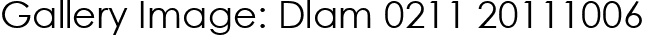 Gallery Image: Dlam 0211 20111006