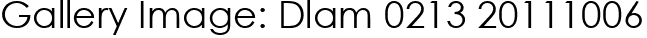 Gallery Image: Dlam 0213 20111006