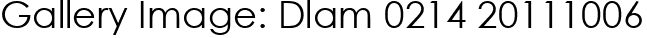 Gallery Image: Dlam 0214 20111006