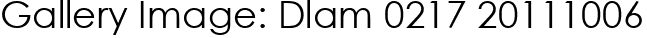 Gallery Image: Dlam 0217 20111006