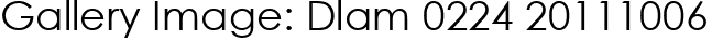 Gallery Image: Dlam 0224 20111006