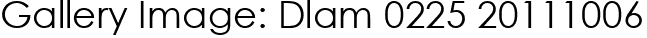 Gallery Image: Dlam 0225 20111006