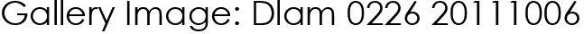 Gallery Image: Dlam 0226 20111006
