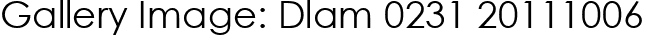 Gallery Image: Dlam 0231 20111006