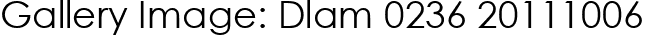 Gallery Image: Dlam 0236 20111006