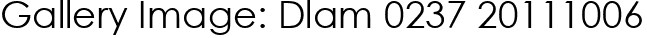 Gallery Image: Dlam 0237 20111006