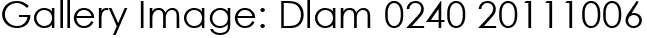 Gallery Image: Dlam 0240 20111006