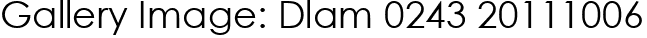 Gallery Image: Dlam 0243 20111006