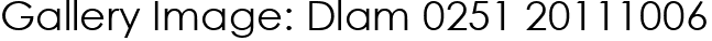 Gallery Image: Dlam 0251 20111006