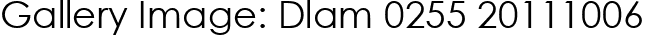 Gallery Image: Dlam 0255 20111006