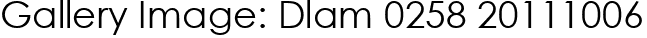 Gallery Image: Dlam 0258 20111006