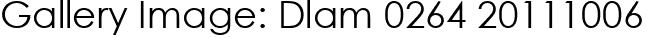 Gallery Image: Dlam 0264 20111006