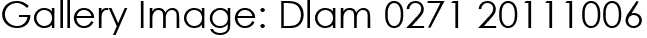 Gallery Image: Dlam 0271 20111006