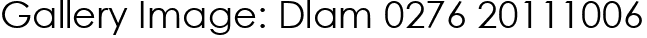 Gallery Image: Dlam 0276 20111006